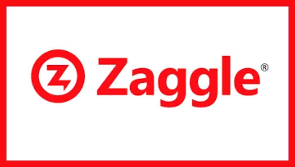 Zaggle posts 64% jump in Q2 FY25 revenue; net profit up by 145% 